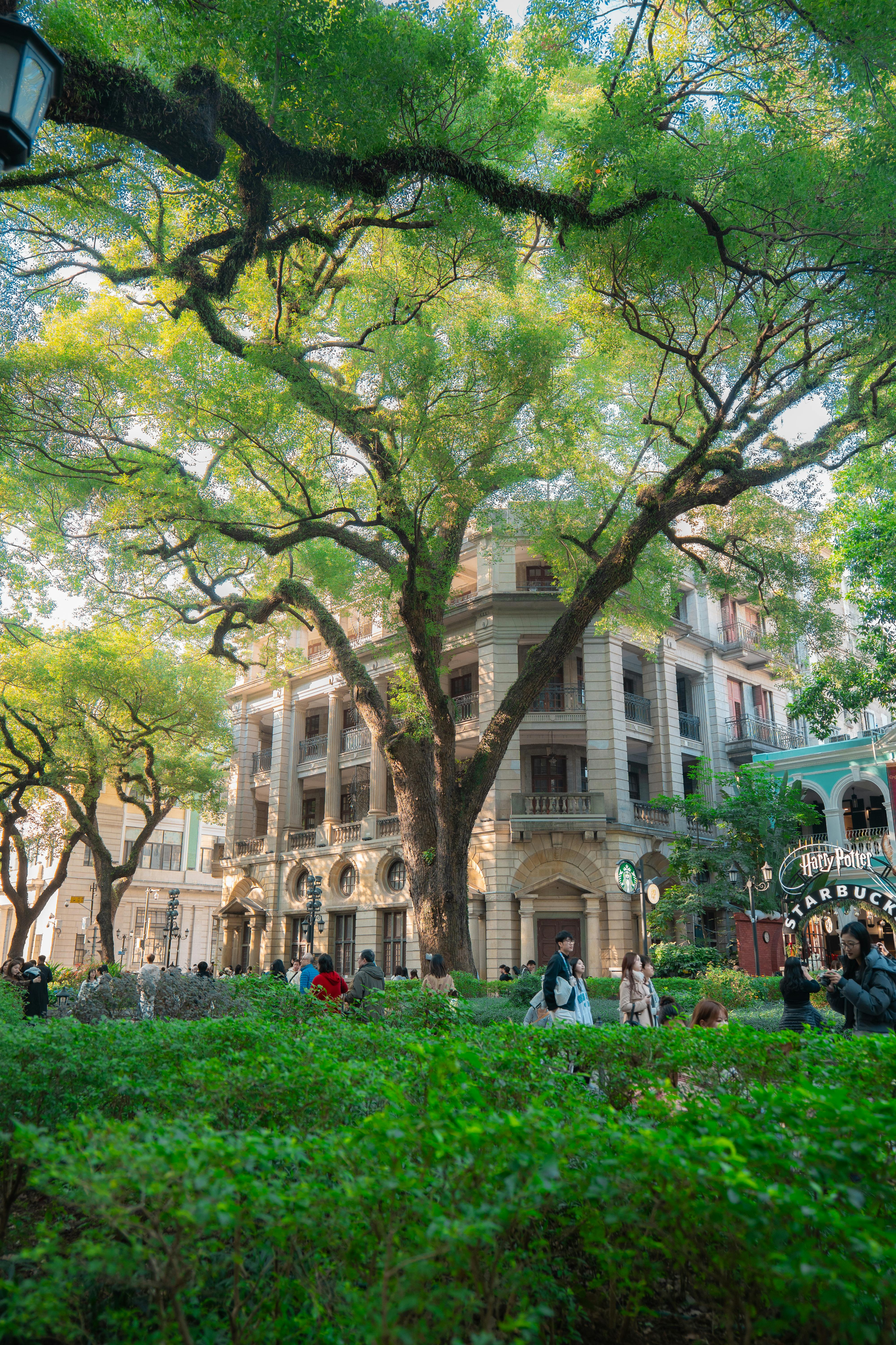 A beautiful outdoor scene featuring lush greenery, historic architecture, and people enjoying the day.