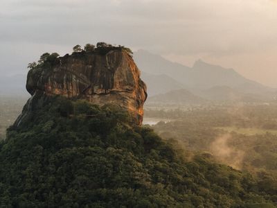 Sri Lanka tea plantation
