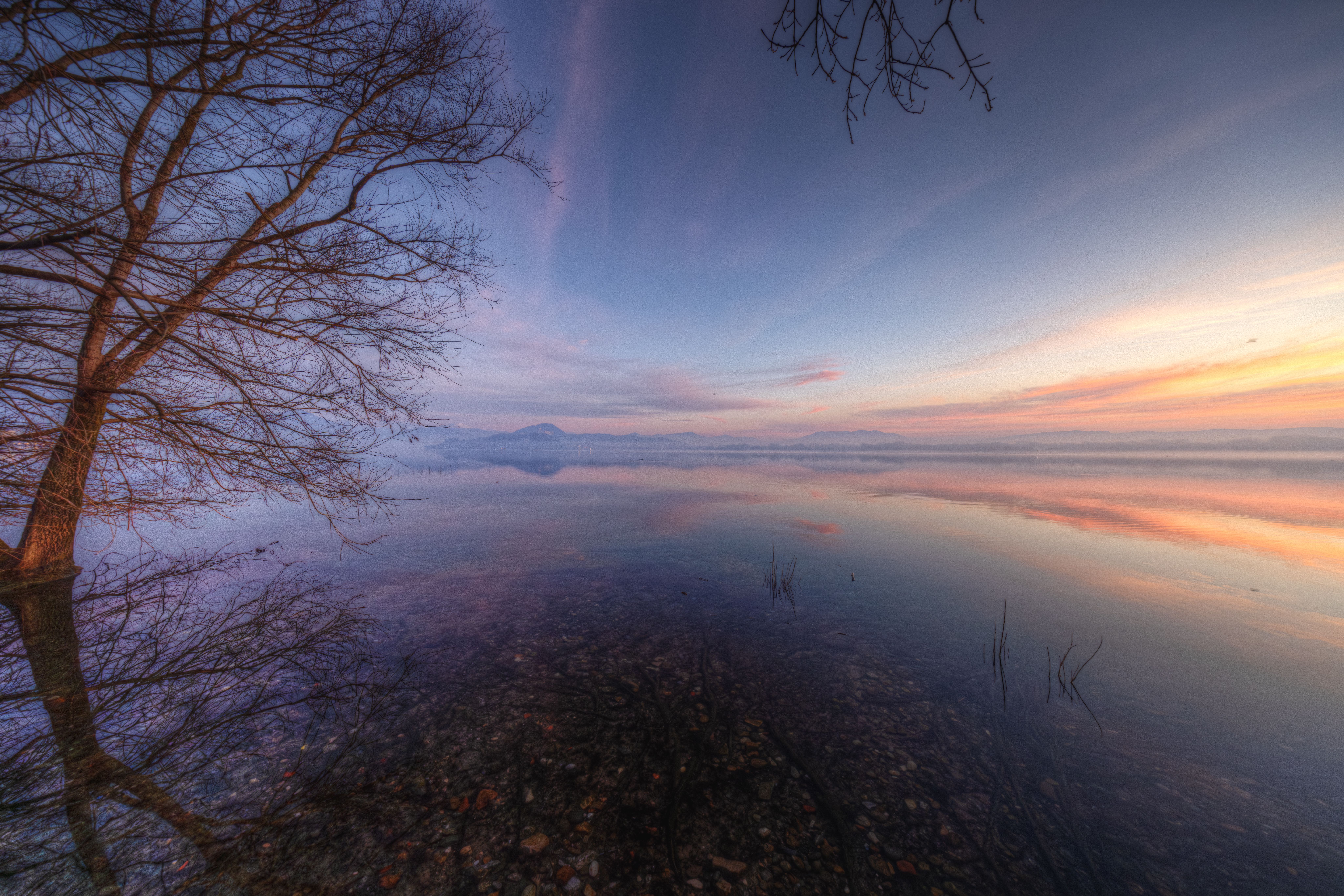Serene Lake at Sunset with Bare Trees · Free Stock Photo