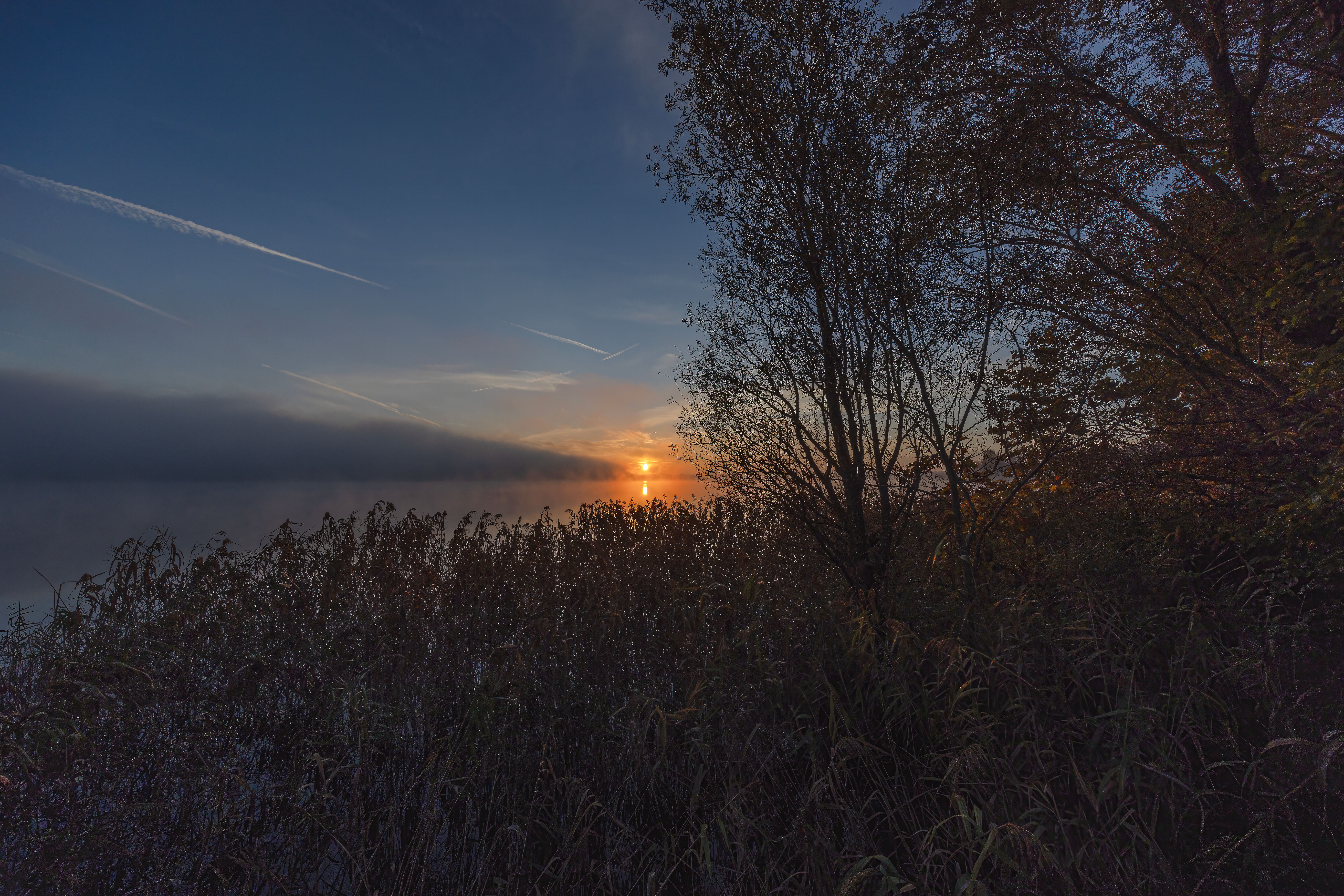 Sunset over water at a lake near Utrecht with reeds in the foreground