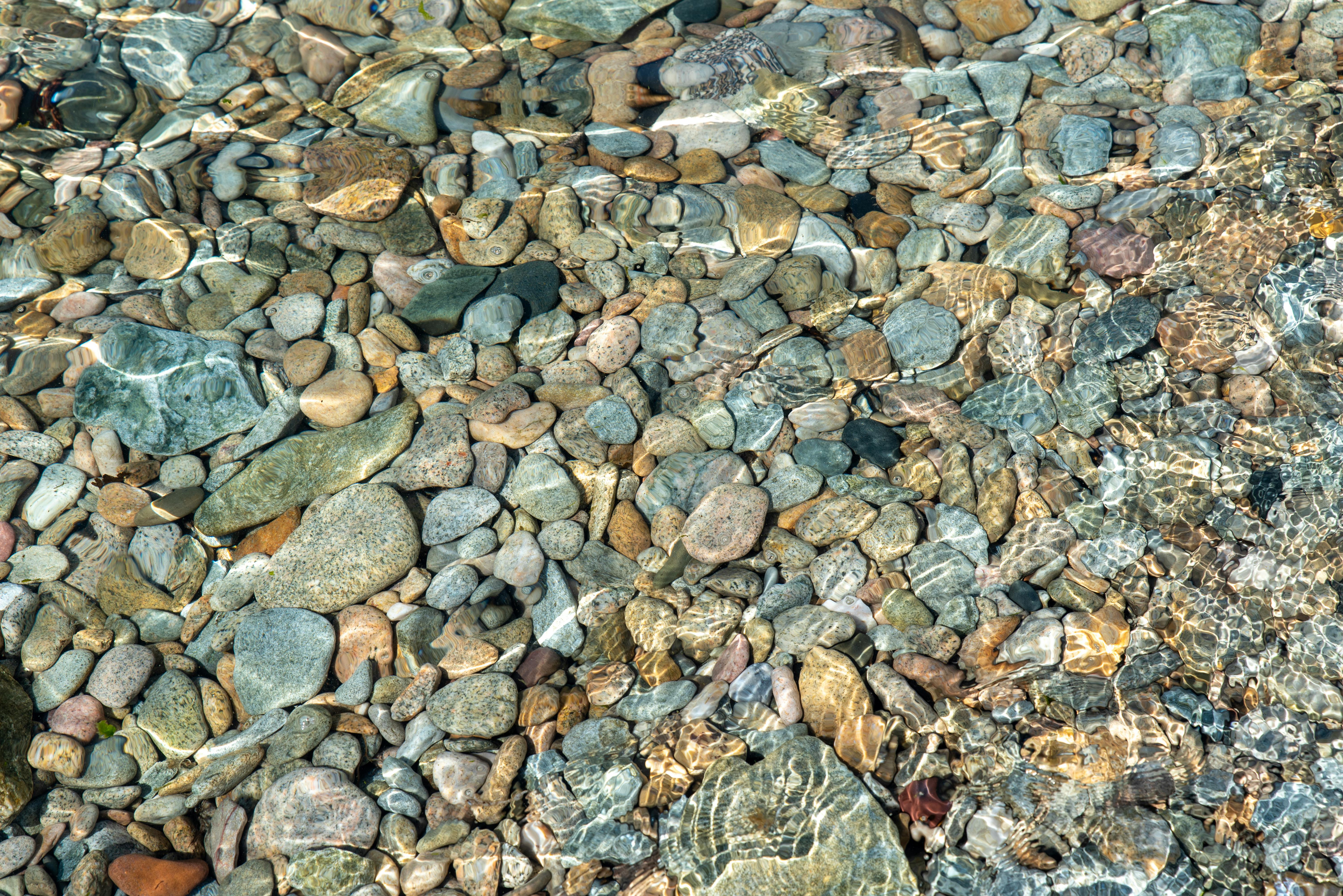 gratis Een serene afbeelding van kleurrijke kiezels onder helder, zonovergoten water in een rivierbedding, die de schoonheid van de natuur laat zien. Stockfoto