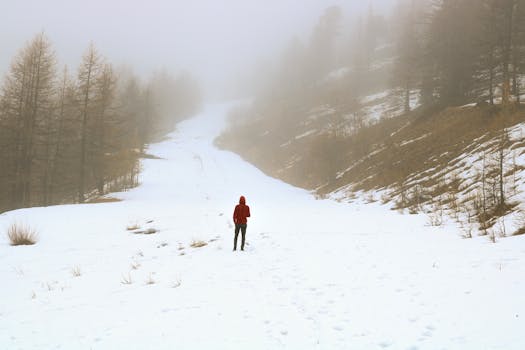 Una persona sola, vestita di rosso, esplora un sentiero di montagna nebbioso e innevato, circondato da alberi.