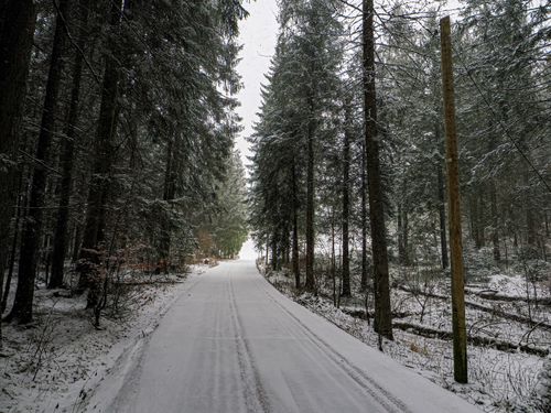 Free A quiet, snow-covered road through a forest during winter, offering a serene view. Stock Photo