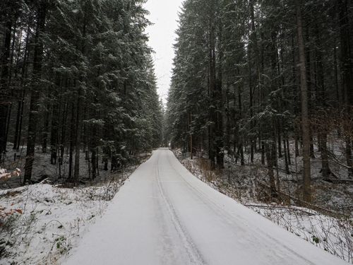 Free A serene winter scene with a snow-covered path through a dense, snowy forest. Stock Photo