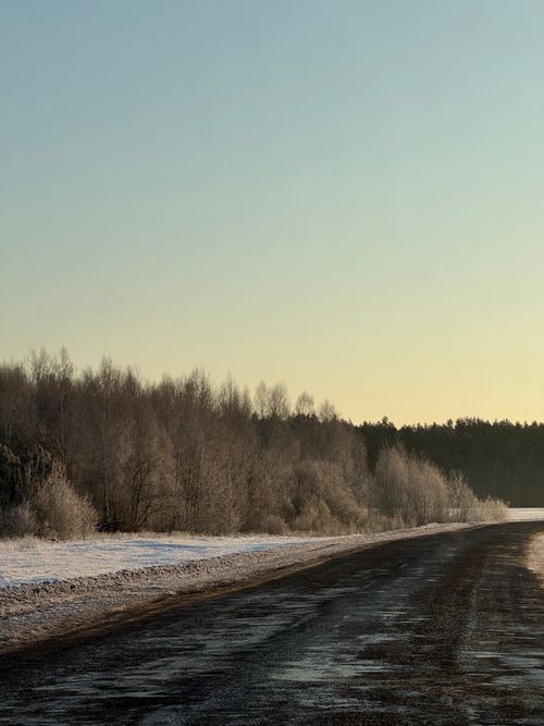 Free A tranquil winter road lined with frosty trees under a clear dawn sky. Stock Photo