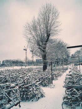 A snowy day in Amsterdam with bikes and trees blanketed in snow, capturing Dutch winter.
