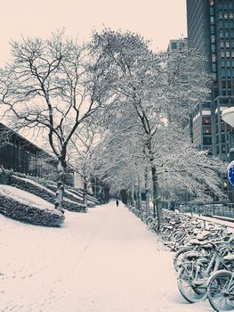 Snow-covered Amsterdam street with bicycles and trees in winter