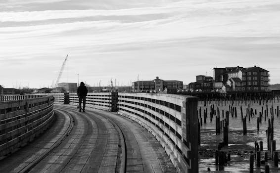 I cani sentono freddo? Come capirlo e cosa fare