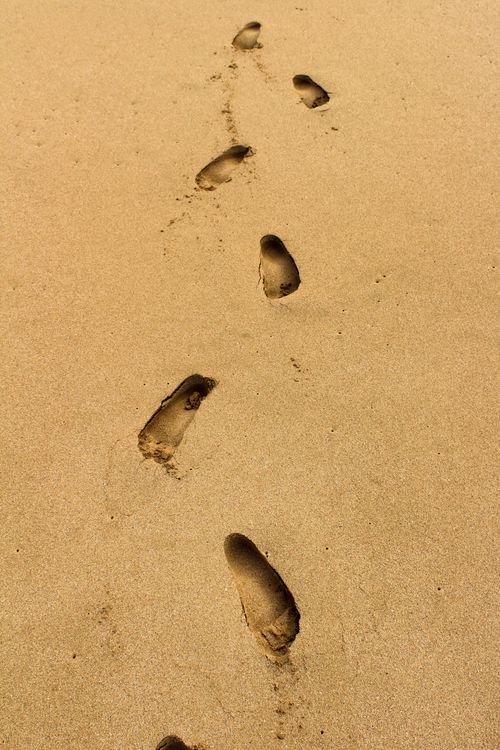 Free A series of footprints in the sand on a sunny Loíza beach, Puerto Rico, symbolizing a peaceful journey. Stock Photo