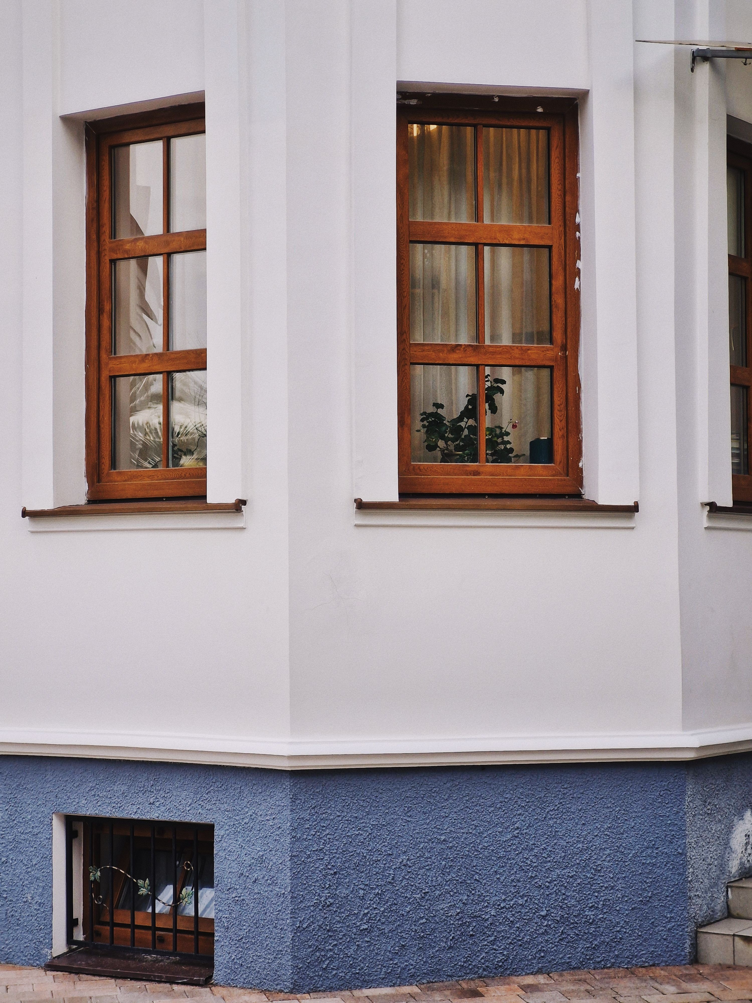 A classic corner view of a building with wooden-framed windows and a plant inside.