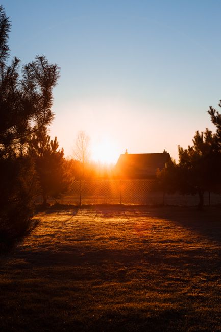Serene sunrise over a tranquil rural landscape with silhouetted trees and a distant farmhouse.