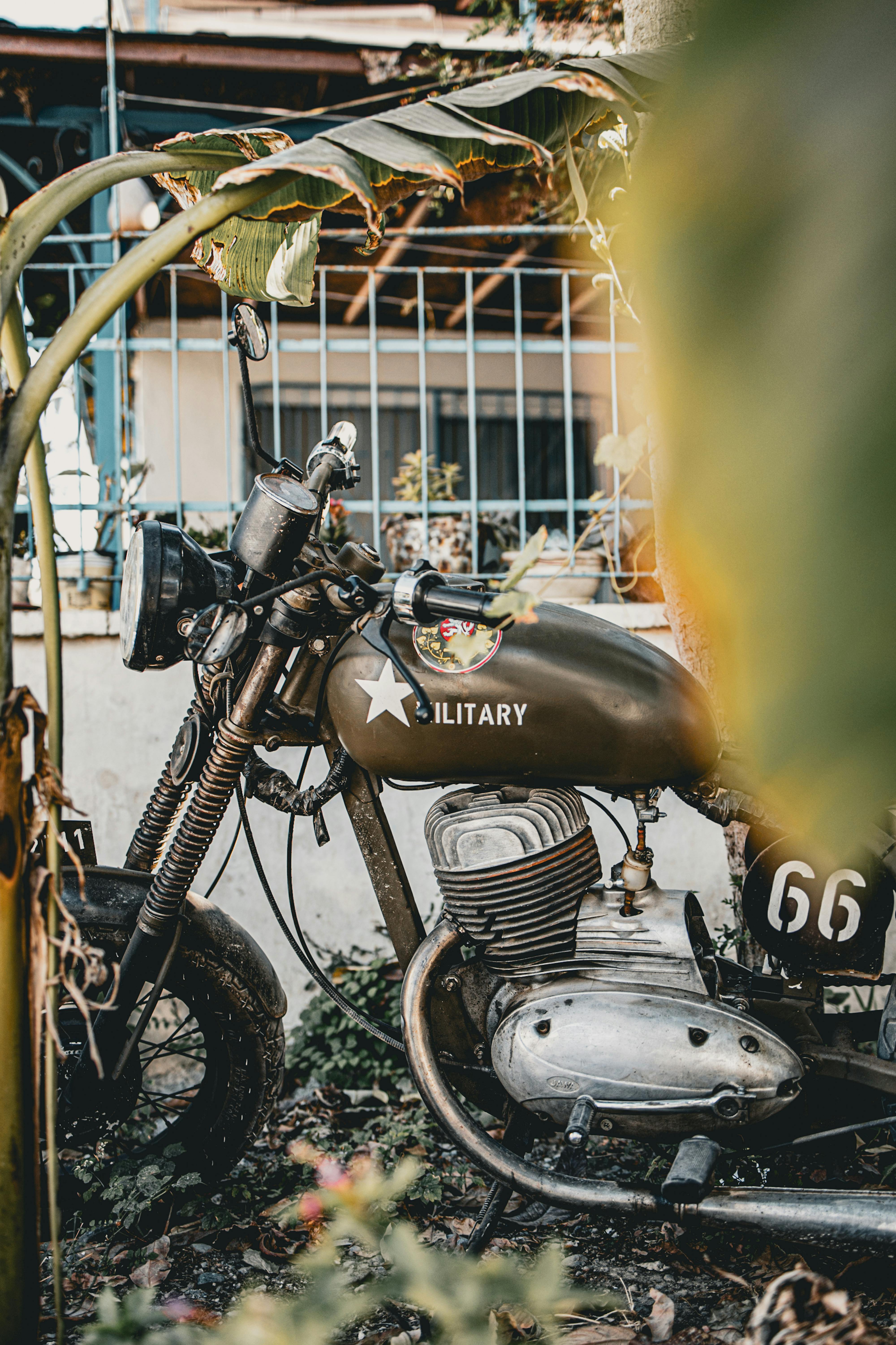 메두사의 비극 2