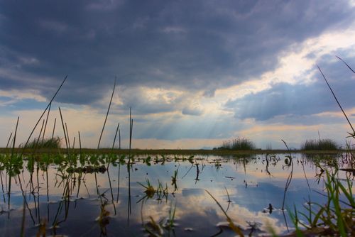 Free A serene wetland scene with dramatic clouds and sunlight rays reflecting on still water. Stock Photo