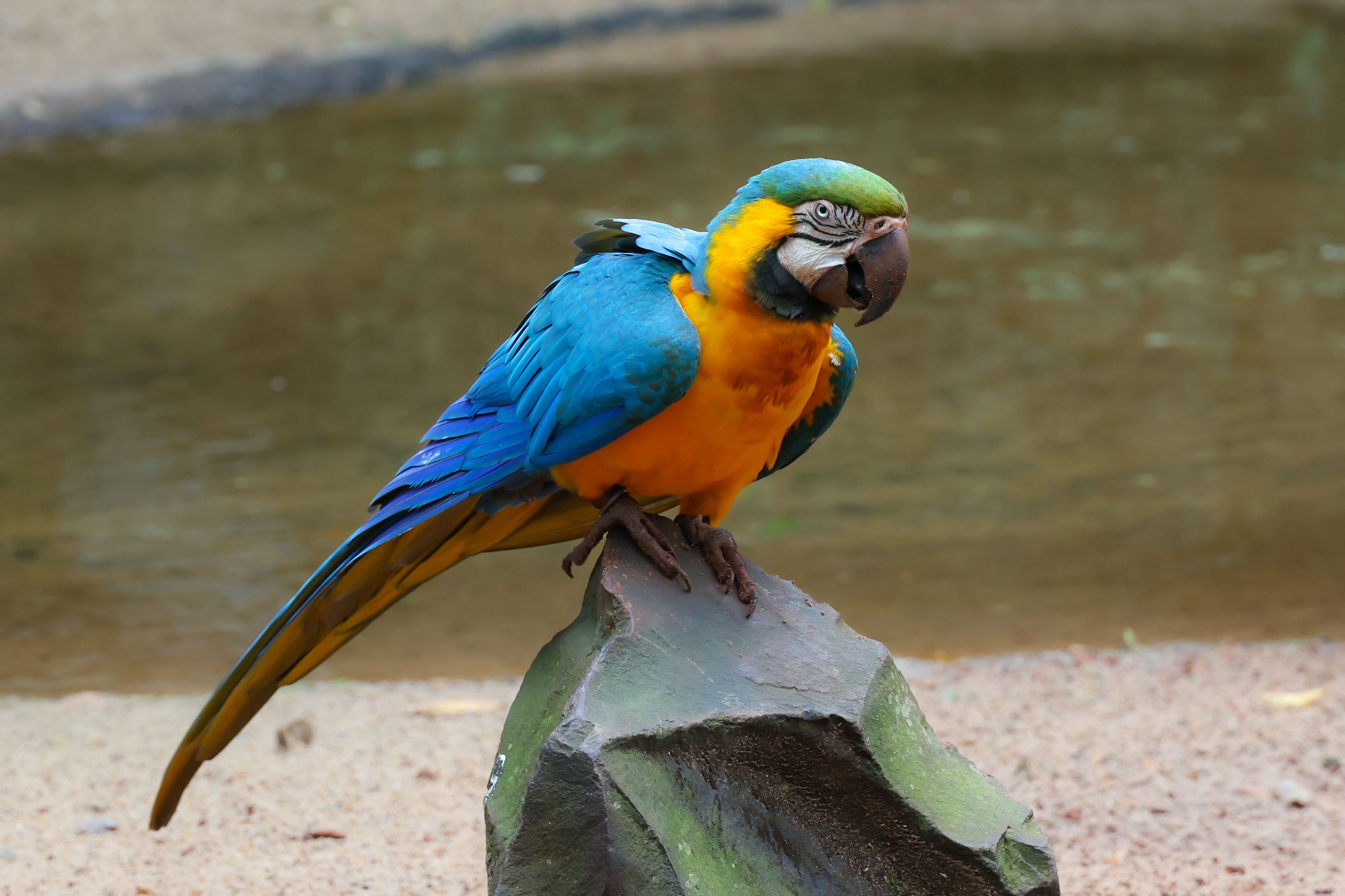 KL Bird Park & jardins de Perdana