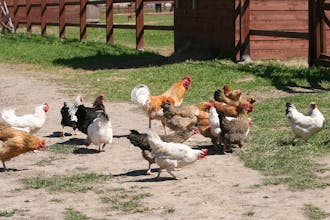 Class C Motorhomes RV repair service