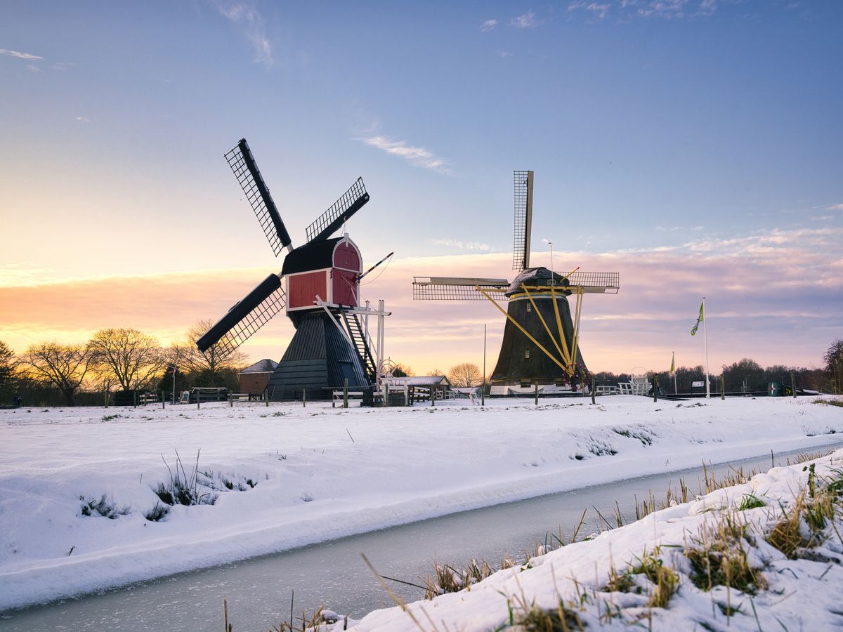 14 Day Ayurvedic Panchakarma Wellness Retreat in the Netherlands 3
