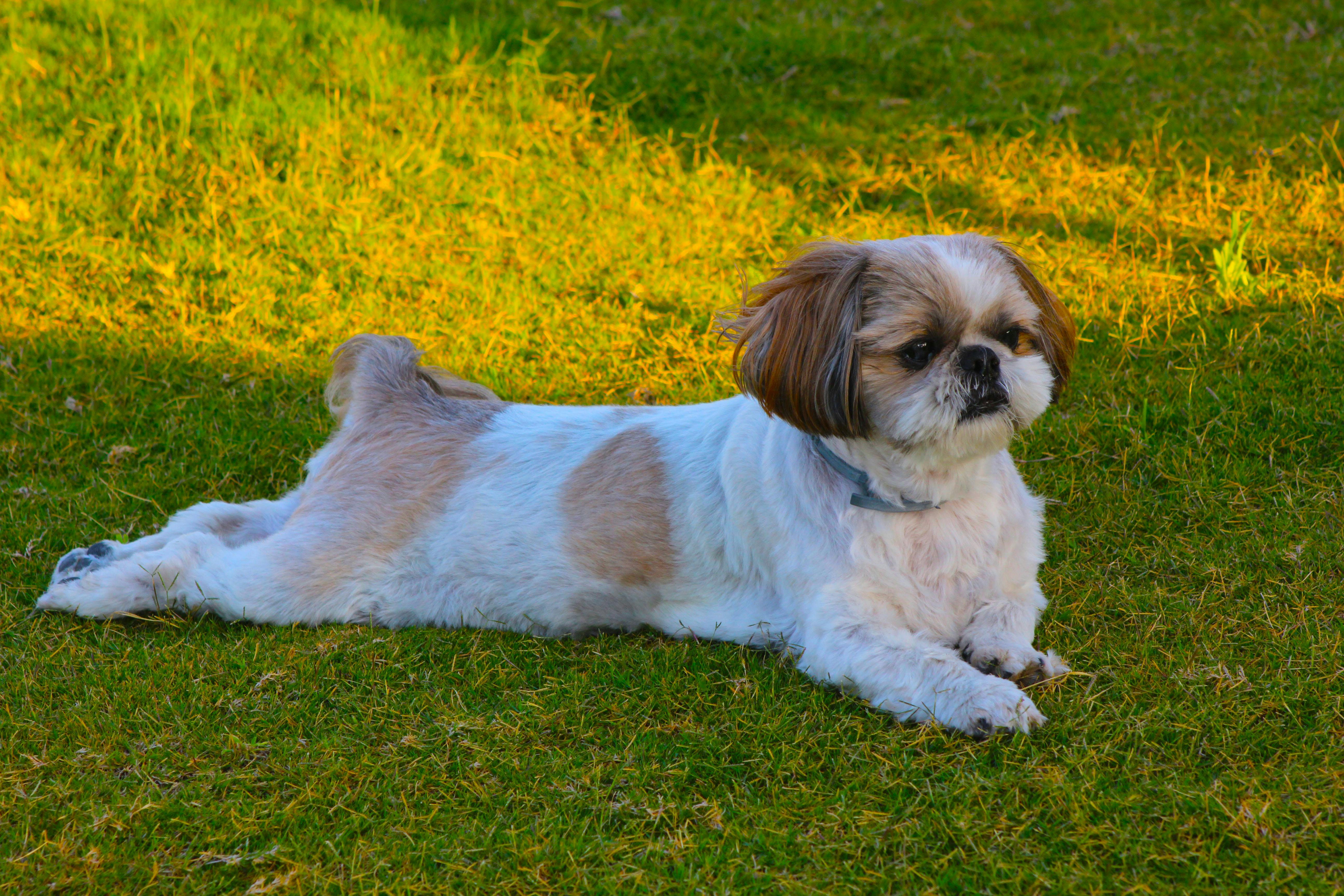 pexels-photo-35611462.jpeg?auto=compress&cs=tinysrgb&h=650&w=940