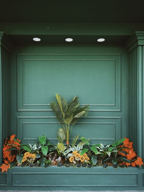 Free Green wall with colorful plants and flowers creates a vibrant decor backdrop. Stock Photo
