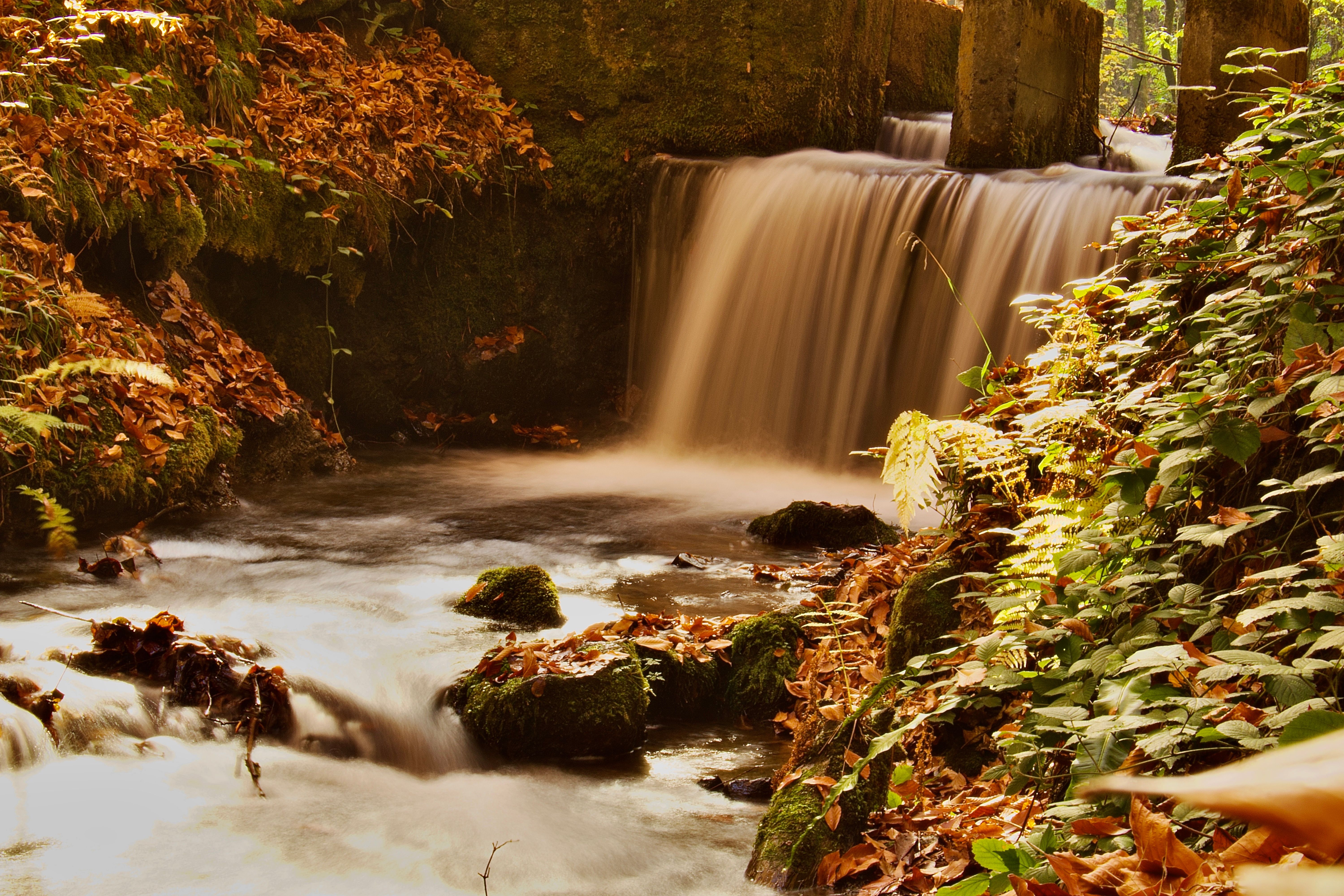 Serene Autumn Waterfall in Forest Setting · Free Stock Photo