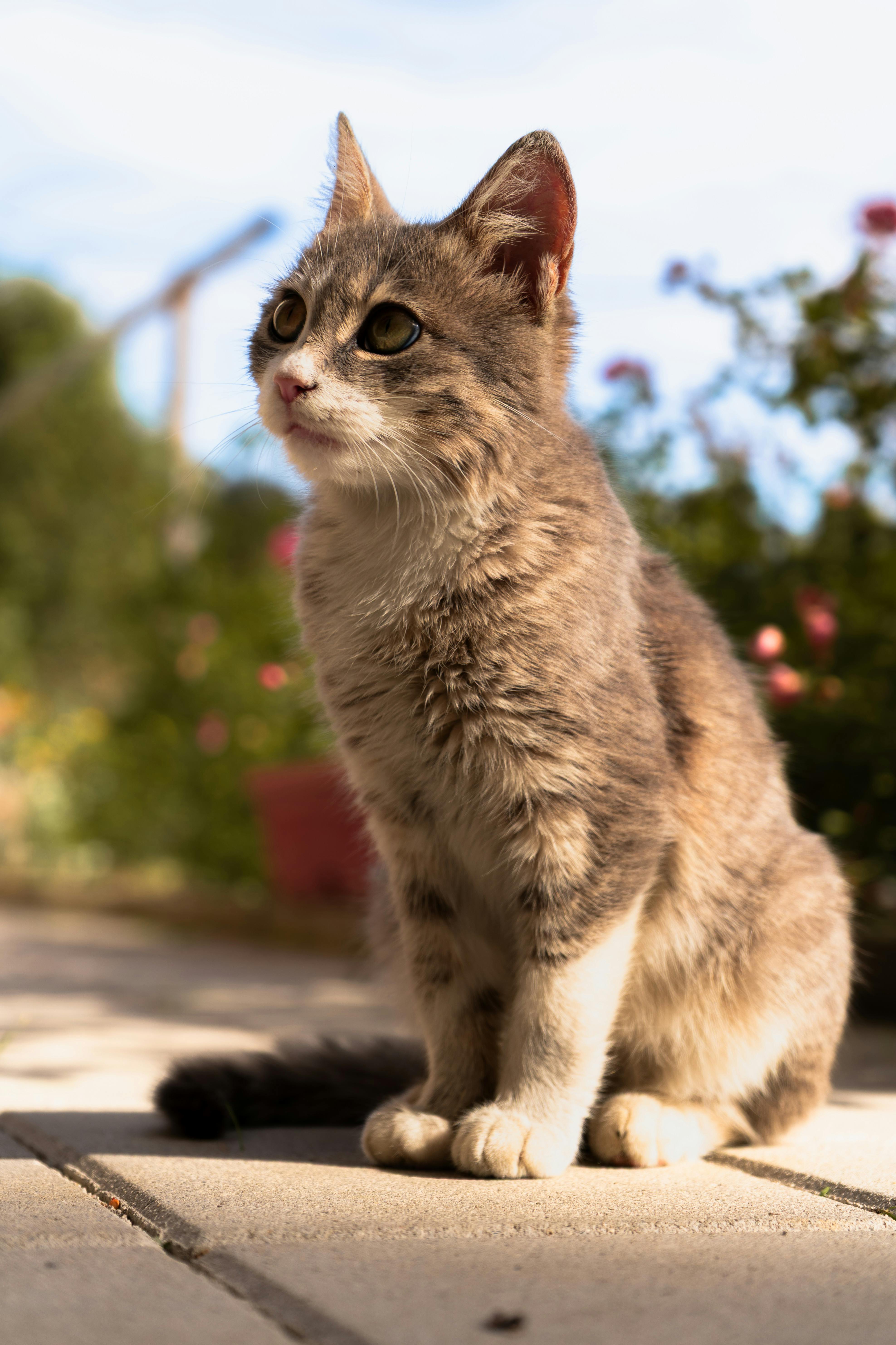 潤色防曬怎麼挑才不踩雷？專業指南帶你選對不曬黑