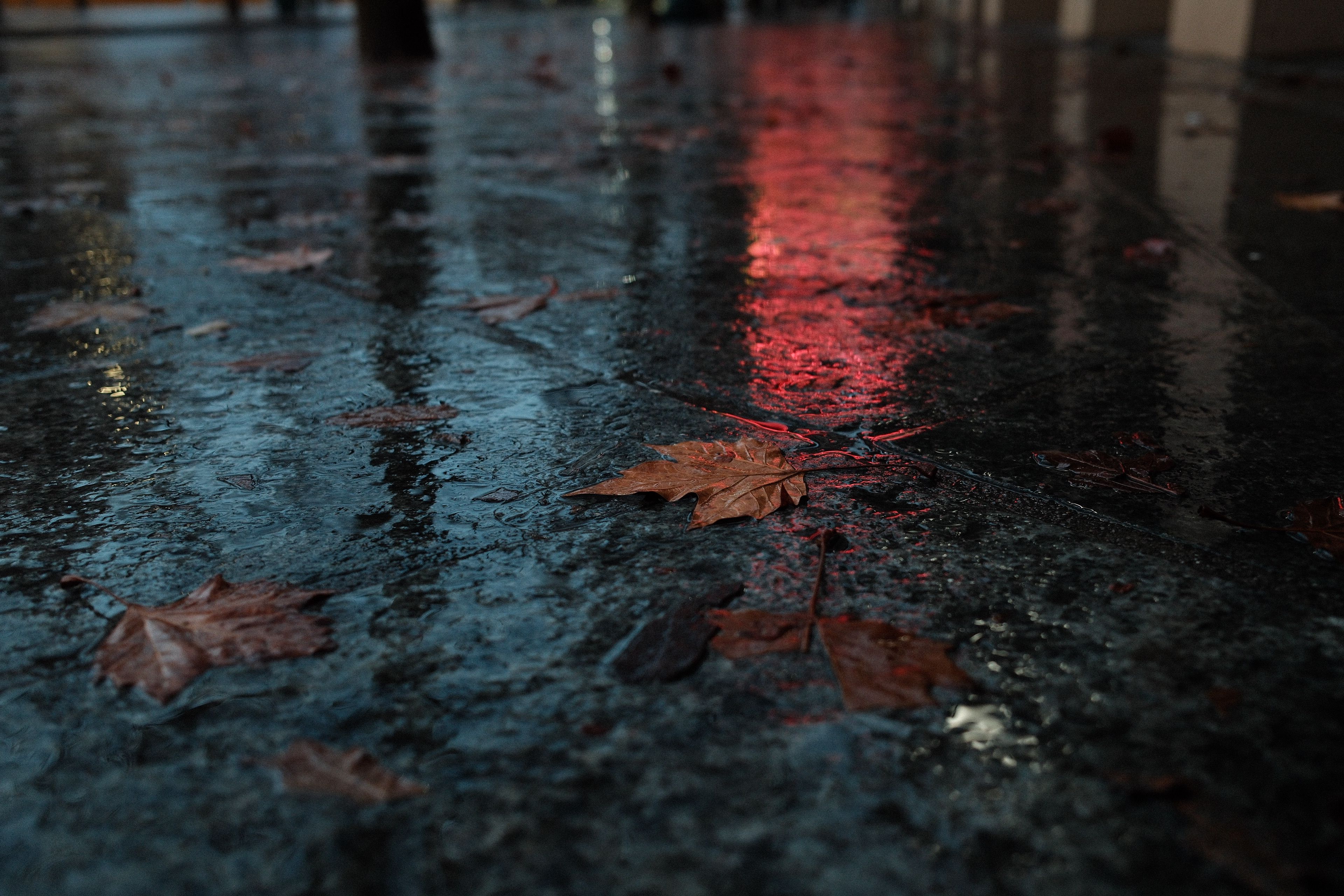 Empty Vancouver sidewalk glistening under streetlights
