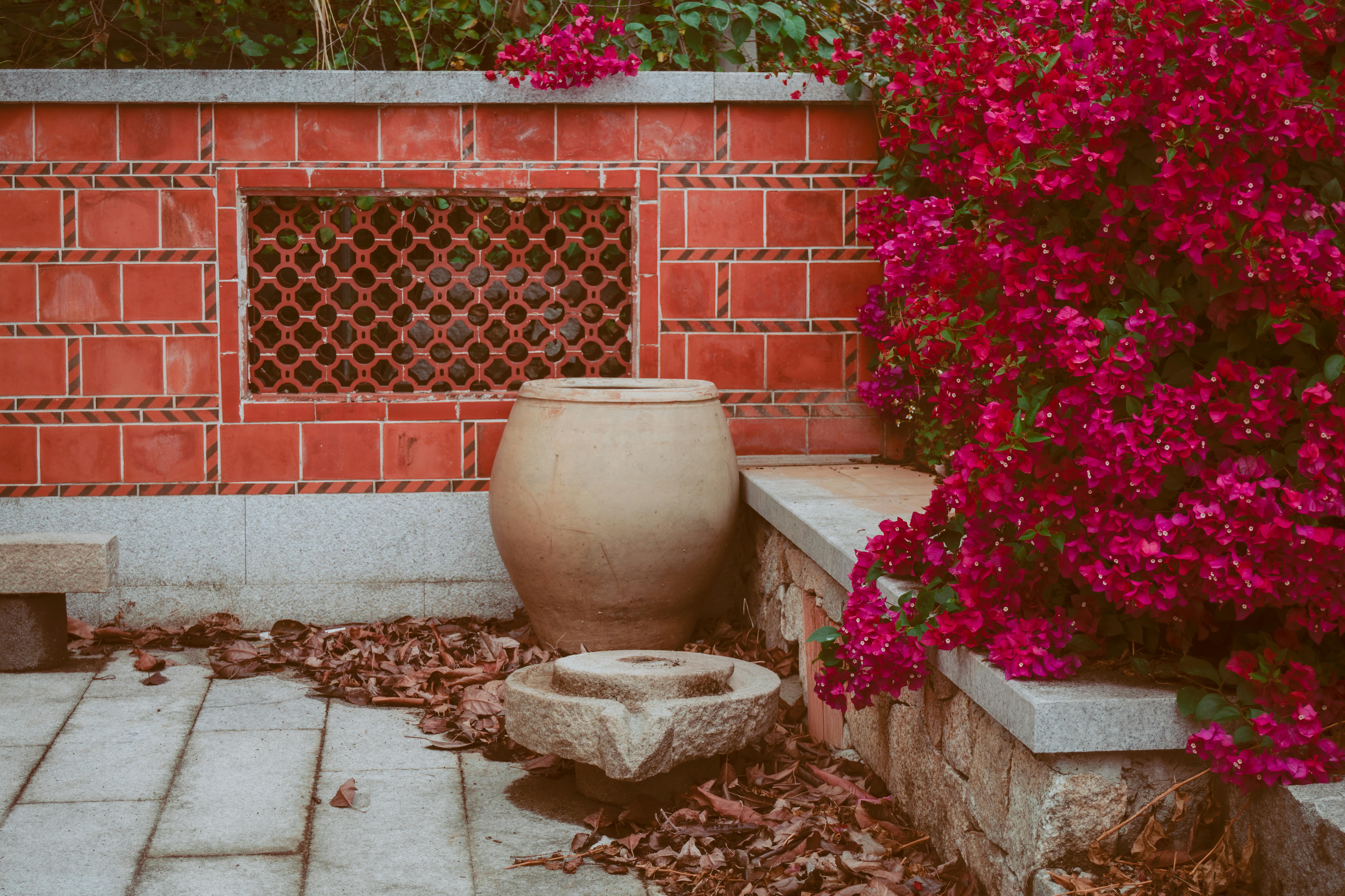 Cultivo de Murta (*Ugni molinae*): Manejo y Potencial Agroindustrial