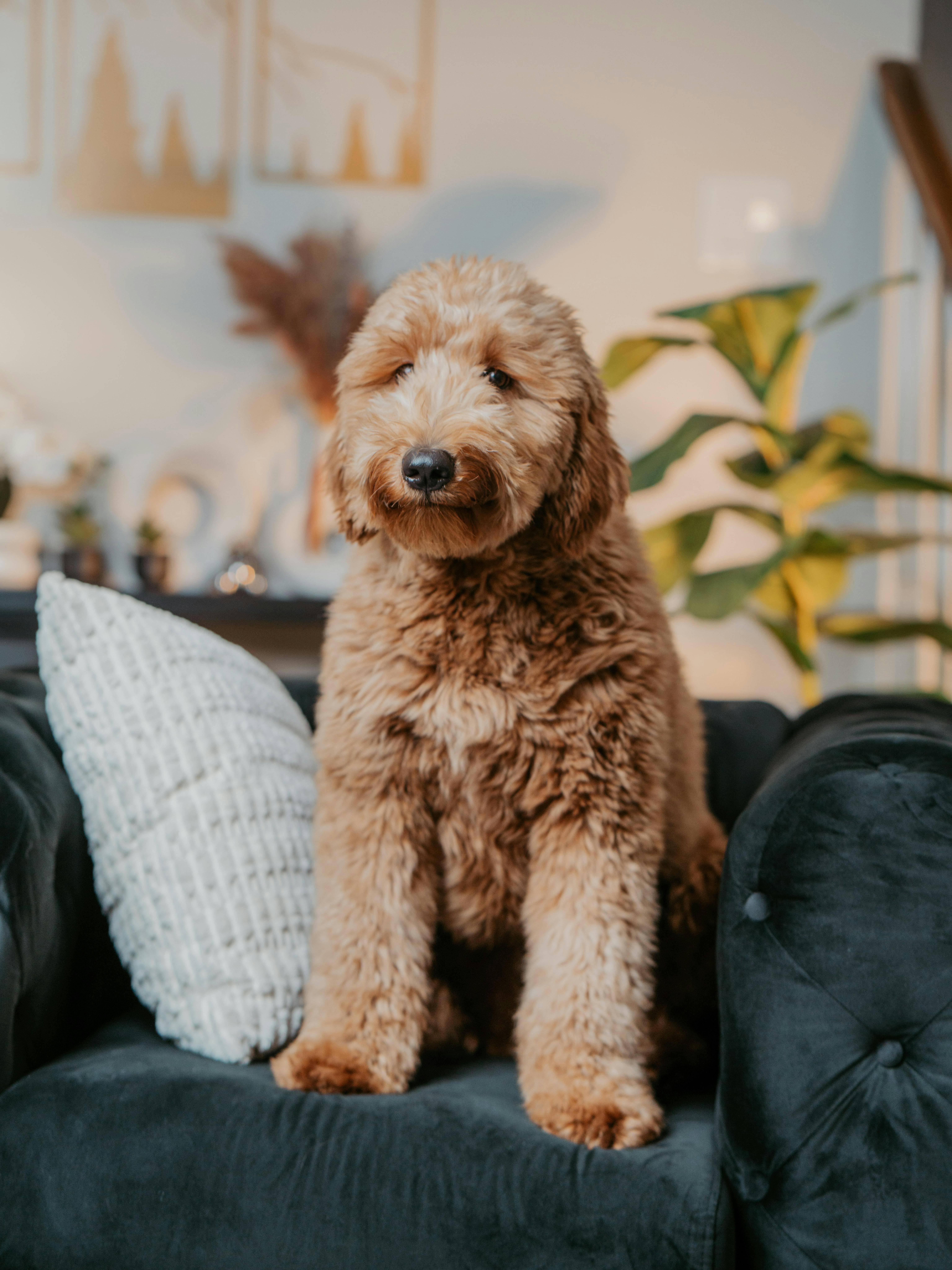 Exploring the Hybrid Powertrain‍ and Fuel Efficiency of the Toyota RAV4