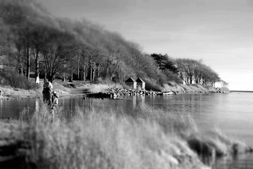 Free stock photo of baltic sea, coast, denmark