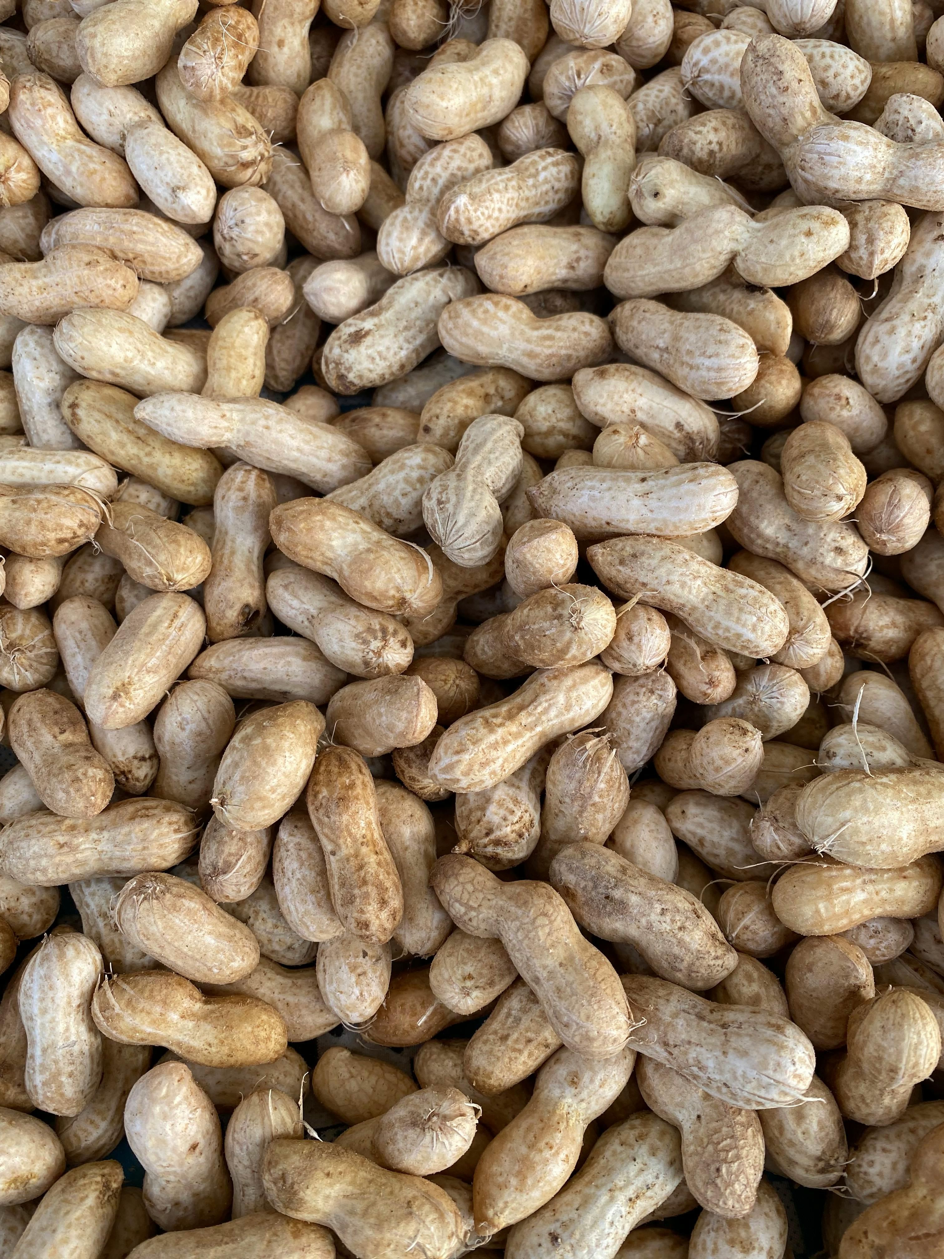 A detailed view of numerous unshelled peanuts, showcasing their rough texture and natural color.