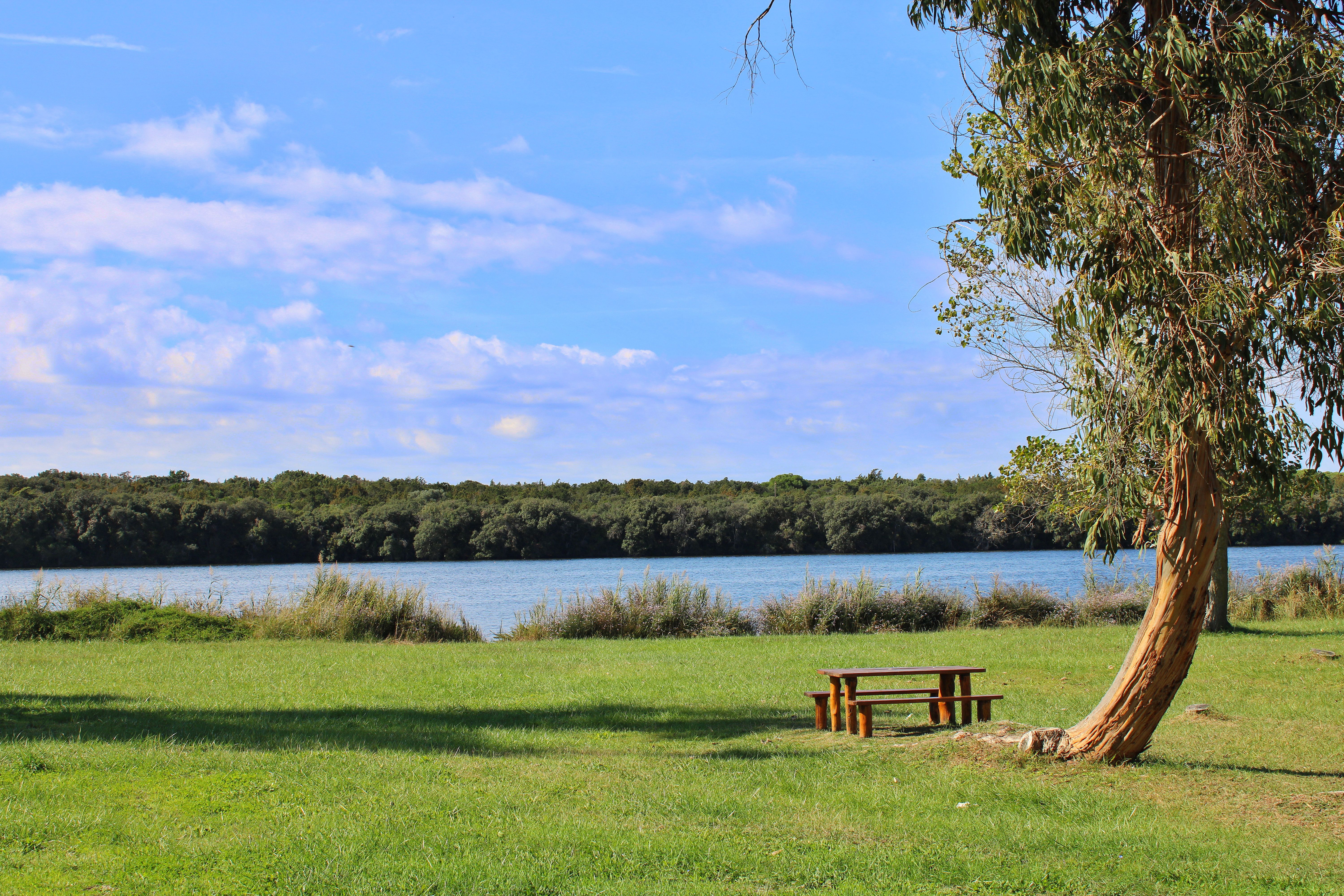 things to do in palm bay florida