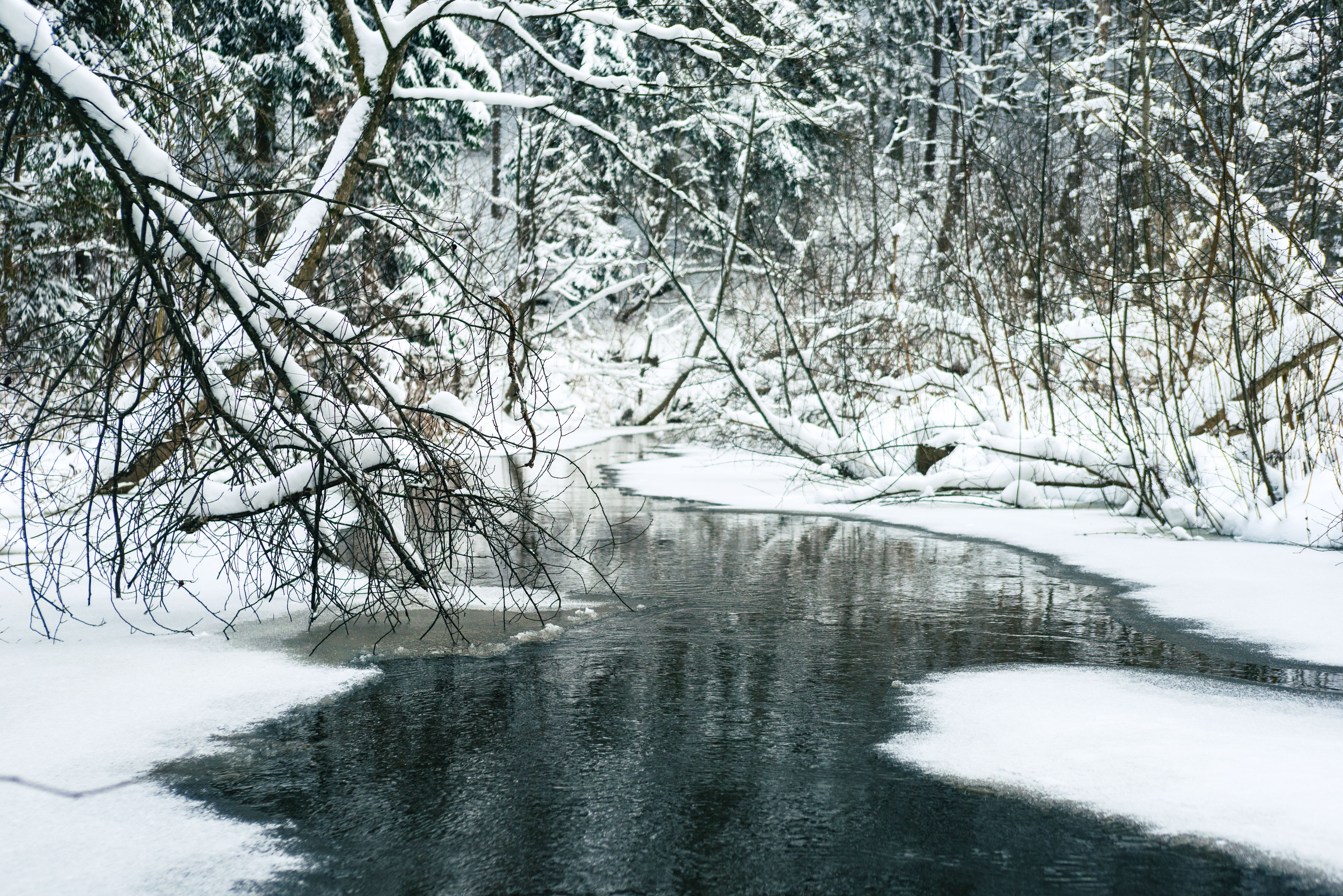 Serene Winter River Scene in Vilnius Forest · Free Stock Photo