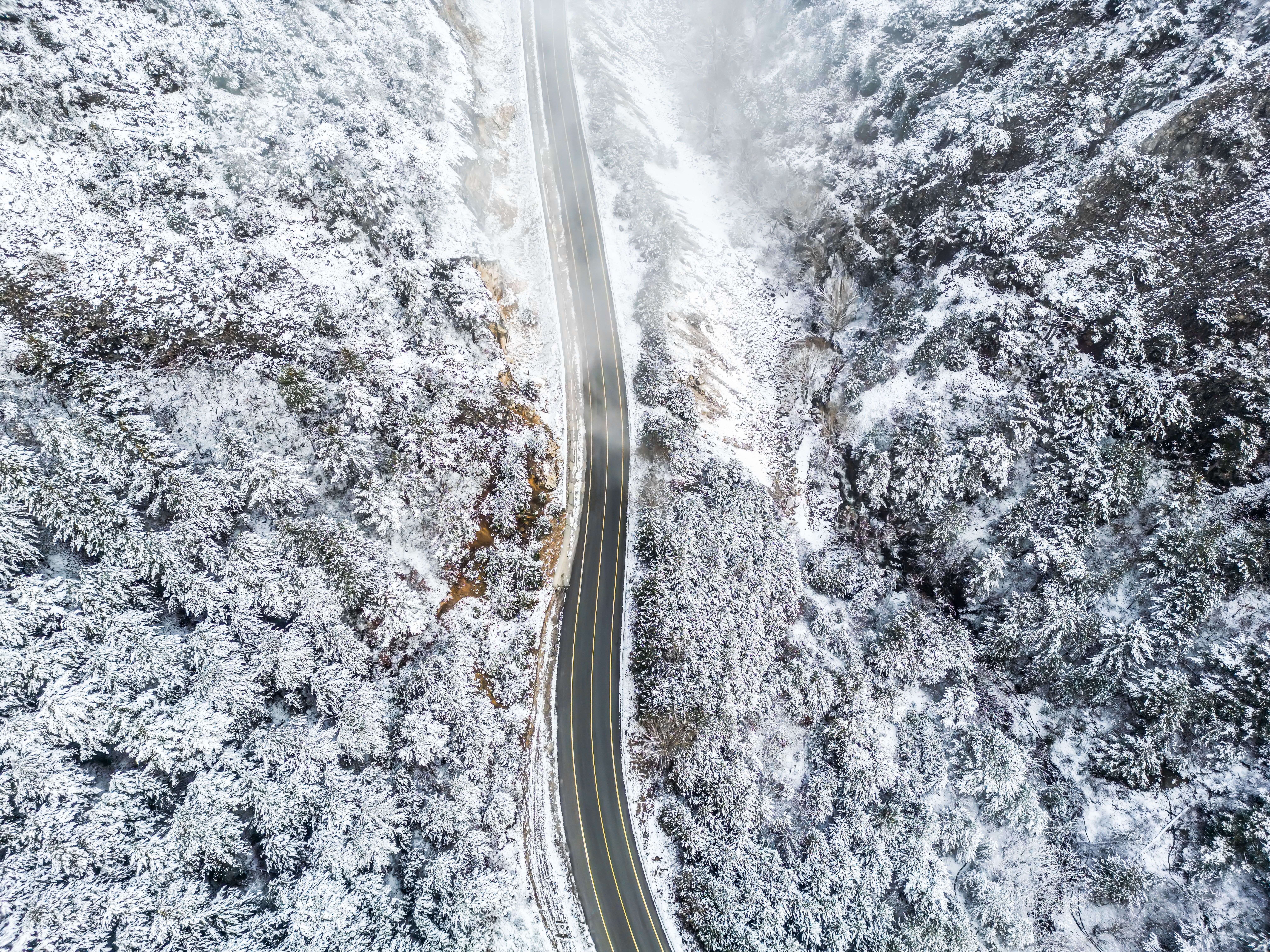 Scenic Aerial Winter Road in Snowy Forest · Free Stock Photo