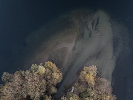 A tranquil aerial view capturing a riverbank with lush trees and a canoe in the calm water.