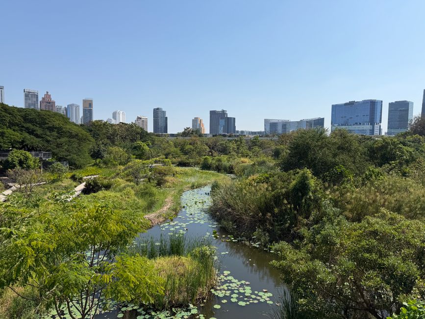 Lush wetland with a city skyline view on a clear day, blending nature and urban life.