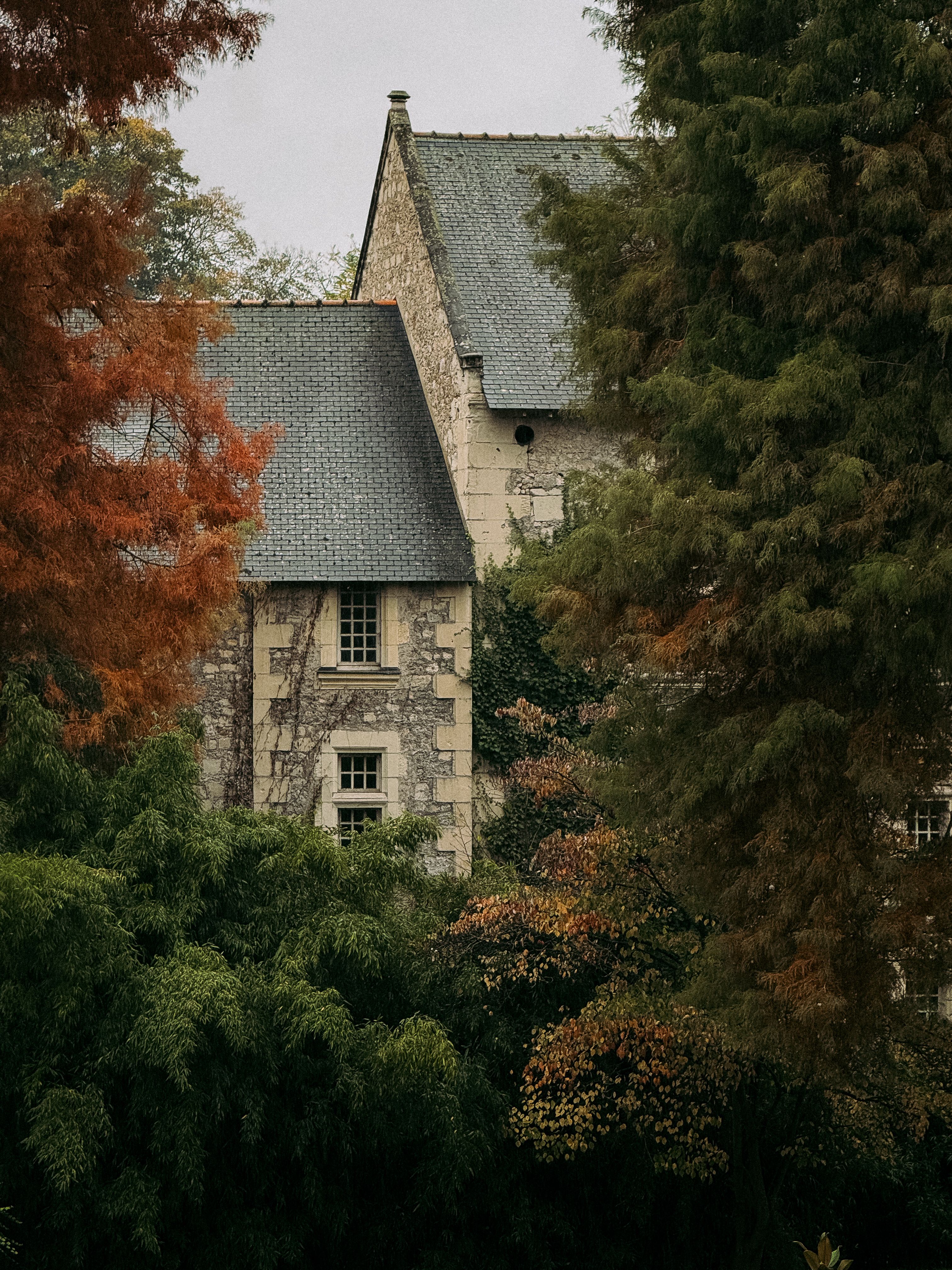 Charming Stone House in Autumn Forest Setting · Free Stock Photo