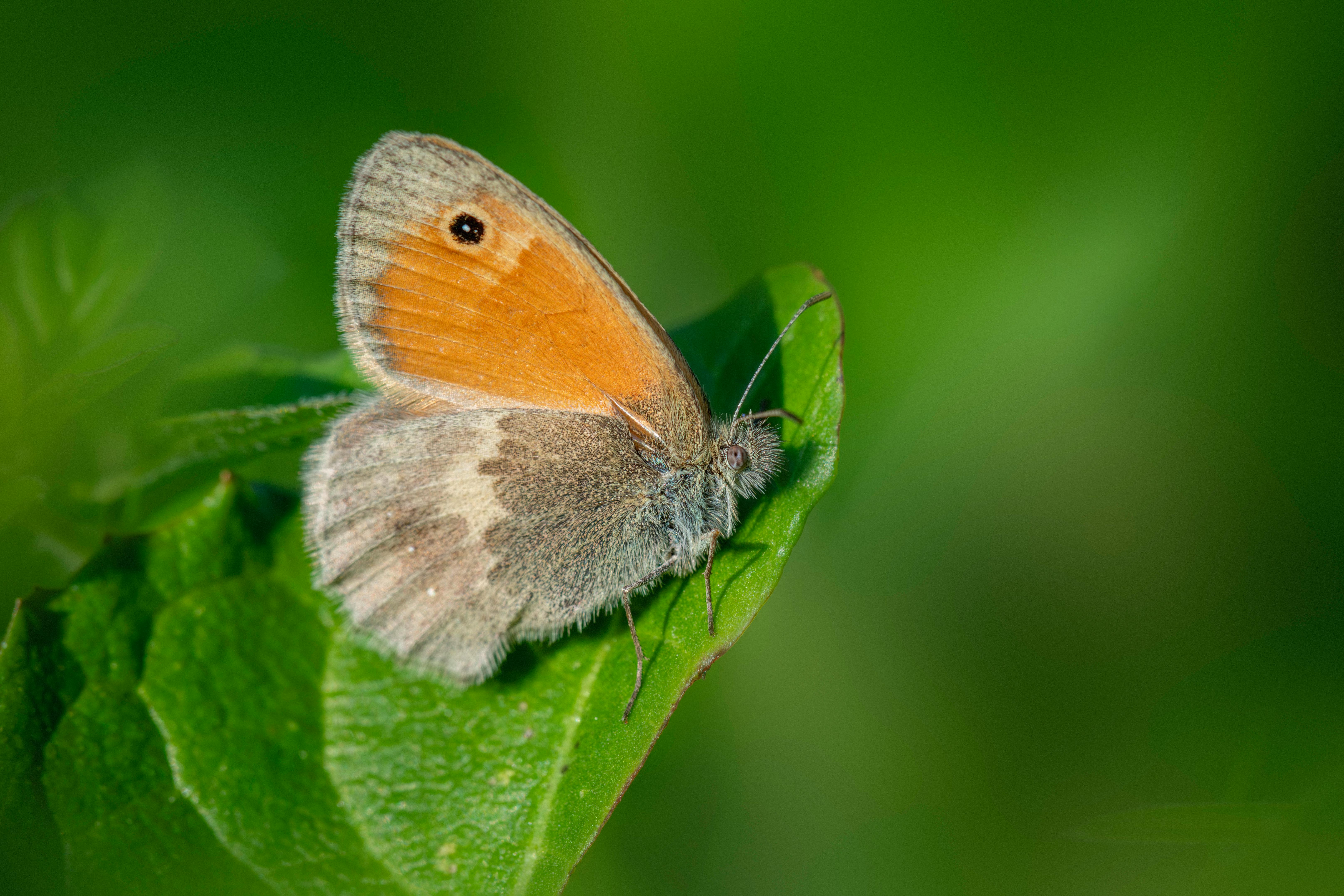 Slideshow Backgrounds Photos, Download The BEST Free Slideshow ...