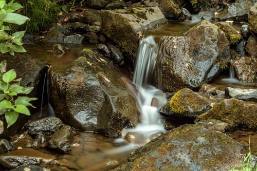 Free Tranquil forest scene with a small waterfall cascading over moss-covered rocks. Stock Photo