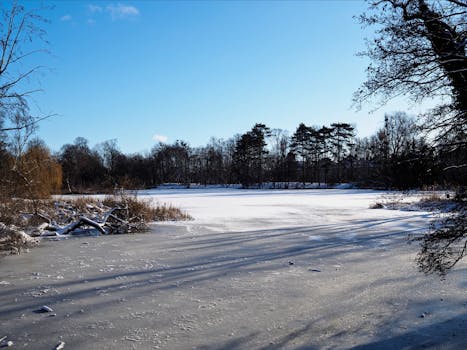 Tranquil winter scene of a frozen lake surrounded by trees under a bright blue sky in Poznań.