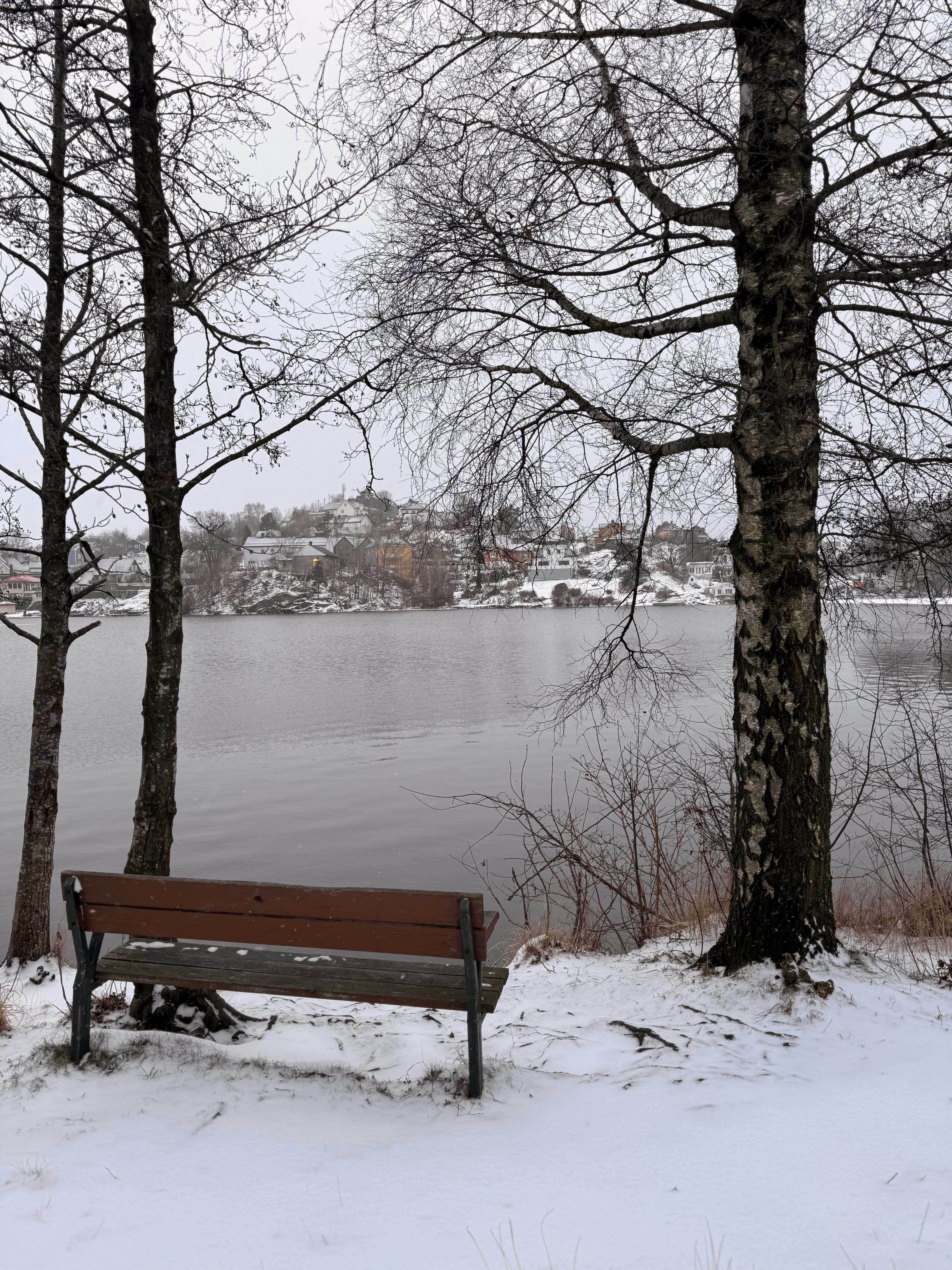 Snow-covered lakeside with bare trees and a wooden bench under a winter sky