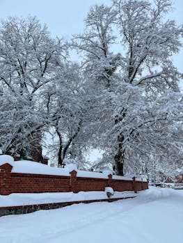 Peaceful winter scene of snow-laden trees and a red brick wall.