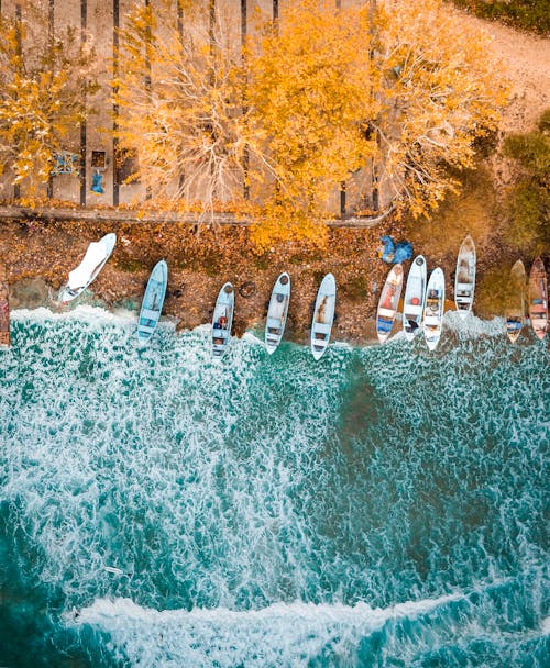 Drone view of boats along sea with foamy turquoise water on seaside with terrace and long trees with yellow foliage