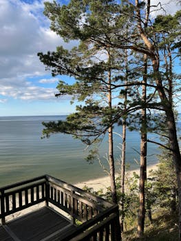 Breathtaking view of the Baltic Sea from a wooden deck with pine trees in the foreground.