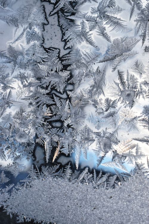 Free Detailed view of intricate frost patterns forming on a glass window during winter. Stock Photo