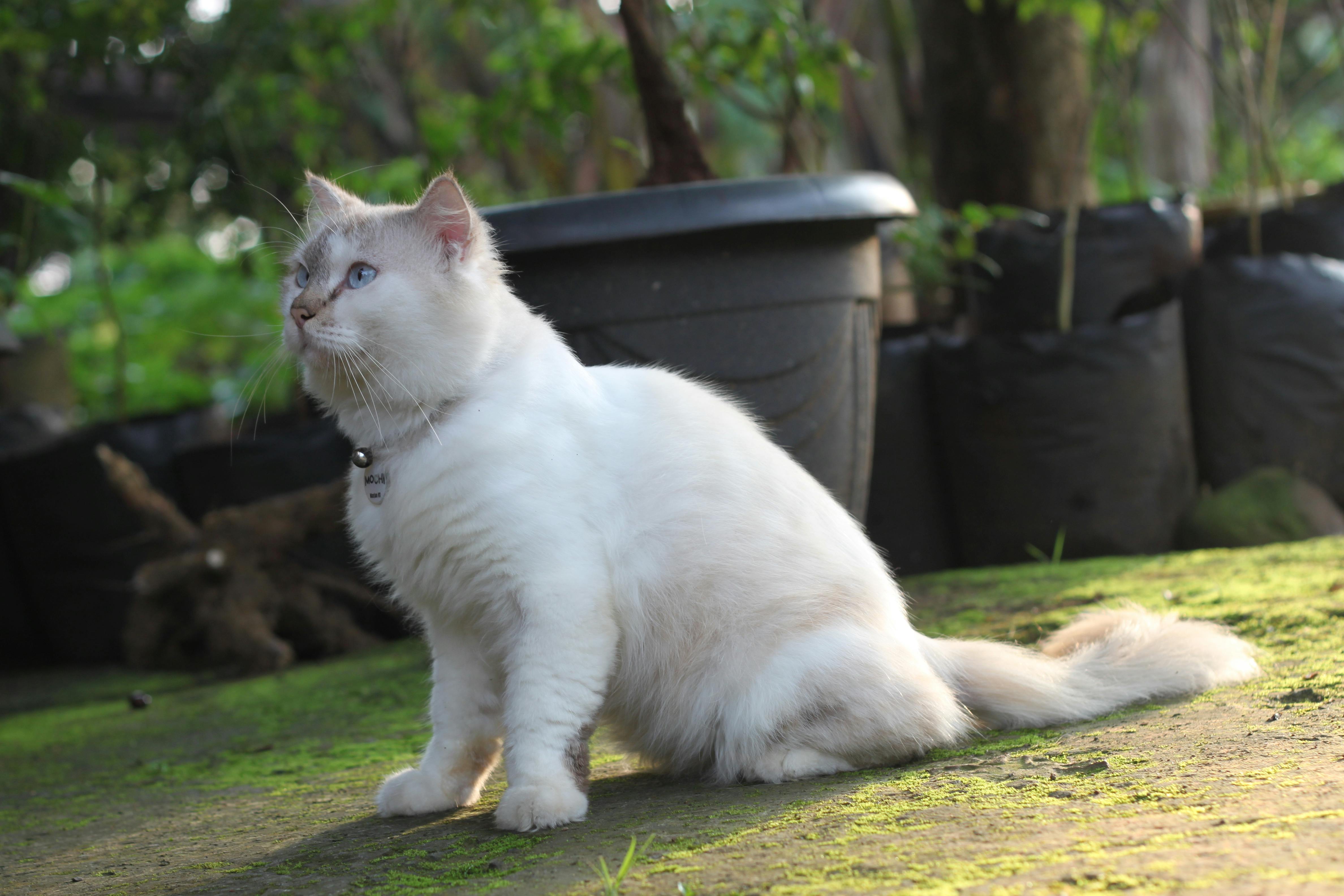 Comparative Analysis of Tefal Pots and Pans: What Sets Them Apart