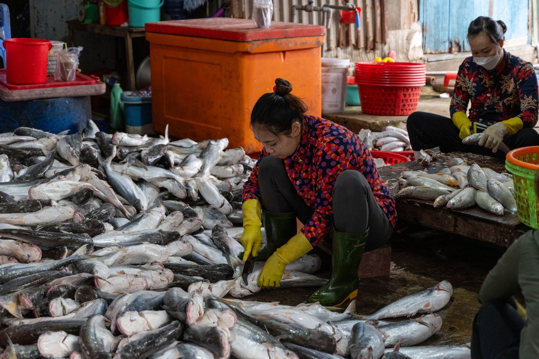 Women organizing freshly caught fish at a bustling market in Vũng Tàu, Vietnam.