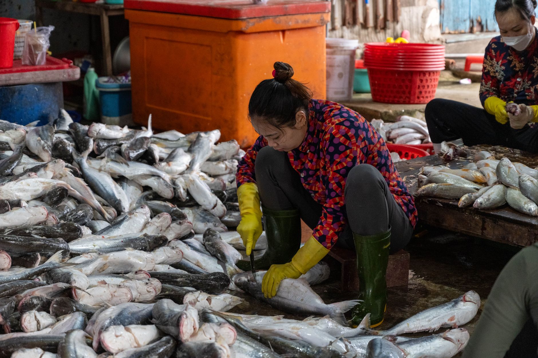 Women at Vũng Tàu fish market cleaning freshly caught fish, showcasing local industry.