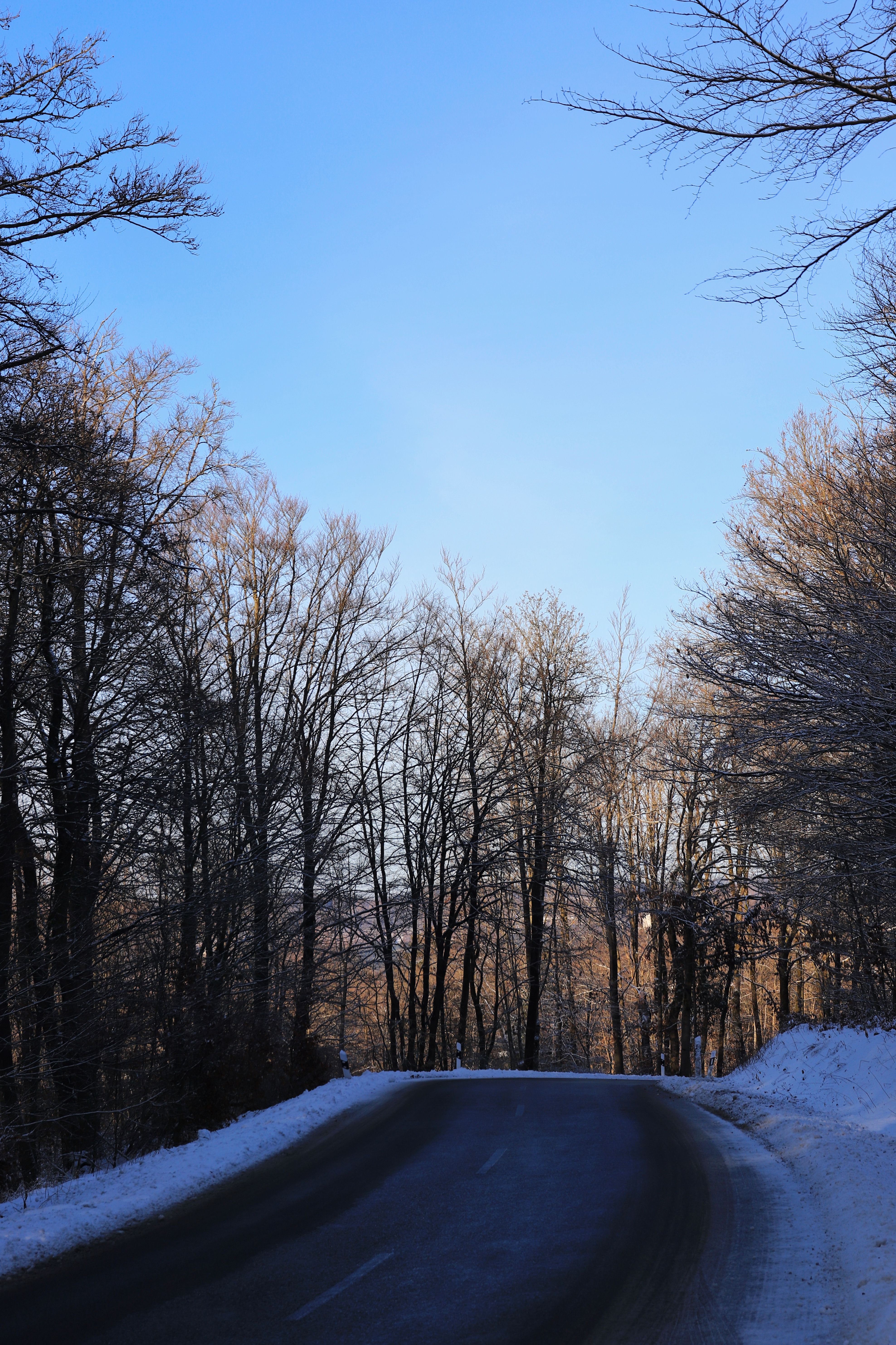 Serene Winter Road Through Snowy Woodland Scene · Free Stock Photo