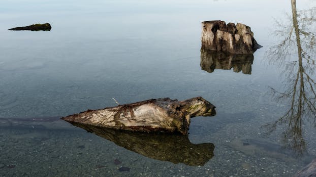 Saint-Ouen-l'Aumône