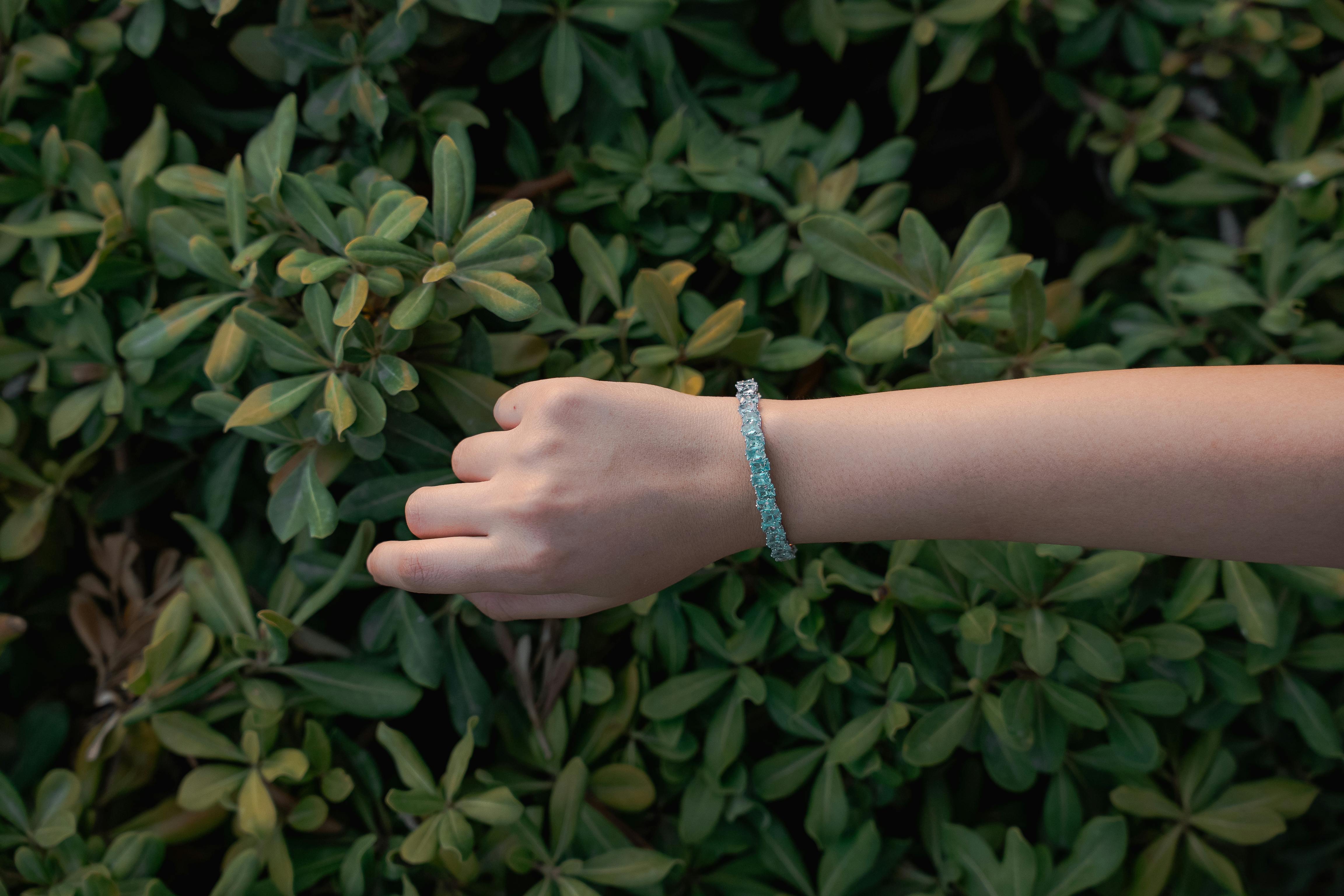 Performance Excellence: ‌How the Blendtec One-Touch Elevates Your Blending Experience