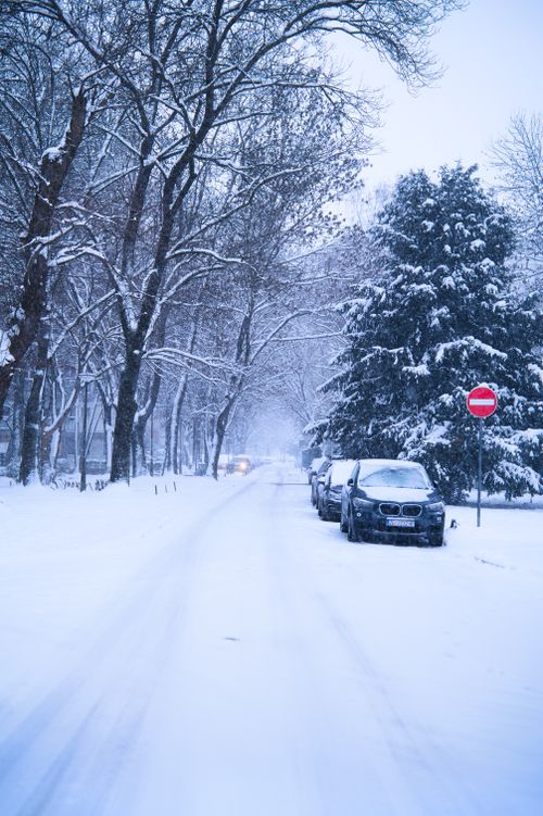 Free Snowy winter road with parked cars and trees creating a serene atmosphere. Stock Photo